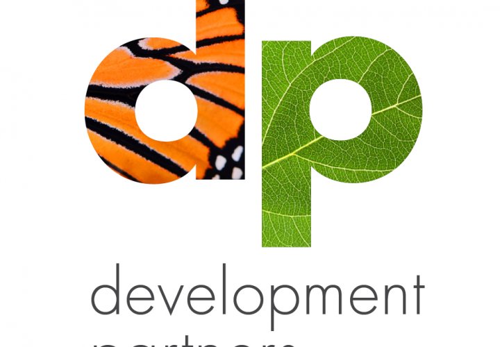 Visit Development Partners website