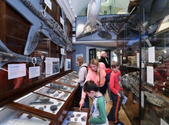 Fossil Walk Guide – Lyme Regis Museum