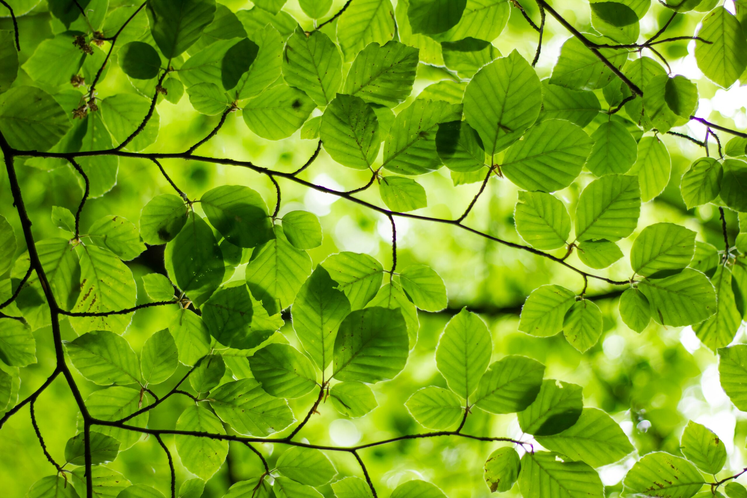 New resource hub for sharing climate guidance